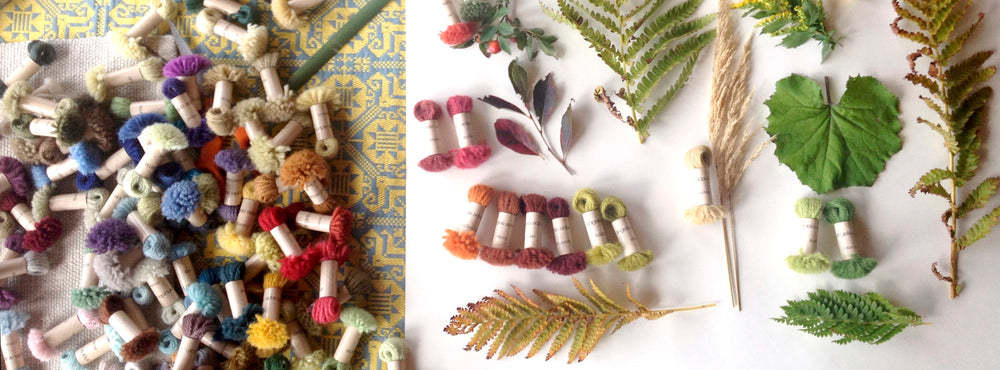 Wild Plants: A Color Study