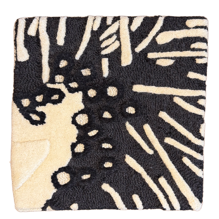 Arenal B+W Sample Square