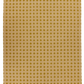 Bongo Lemon