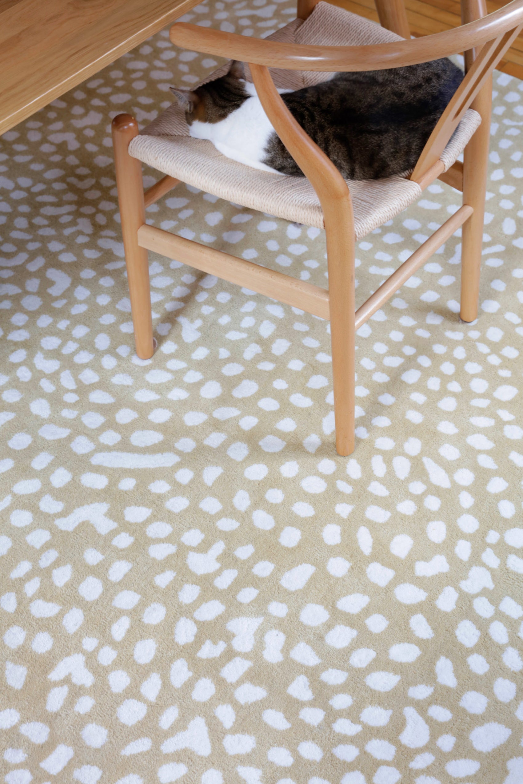 Starry Beige