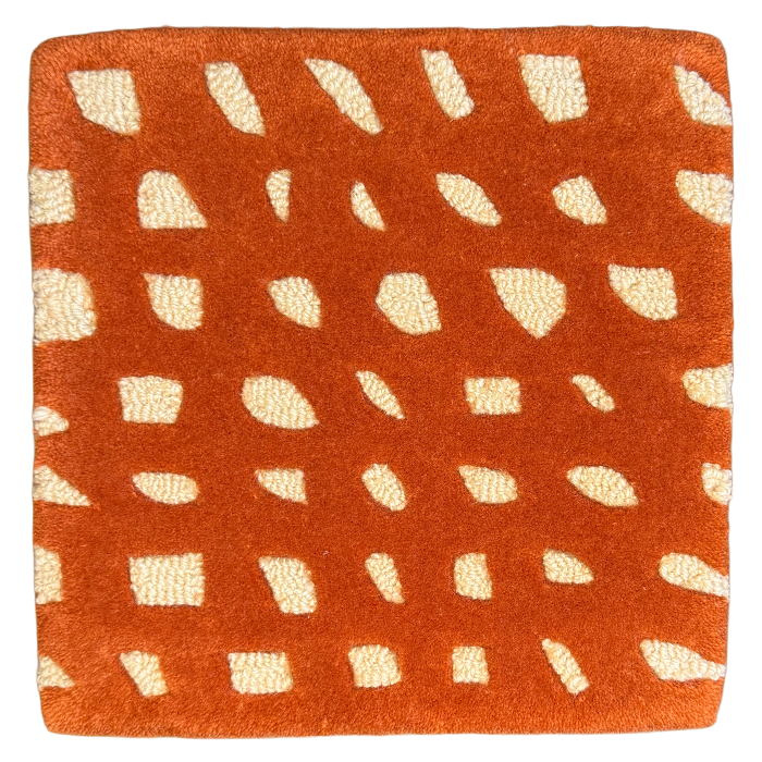 Fish Net Coho Sample Square