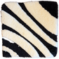 Majesty Jazz Sample Square