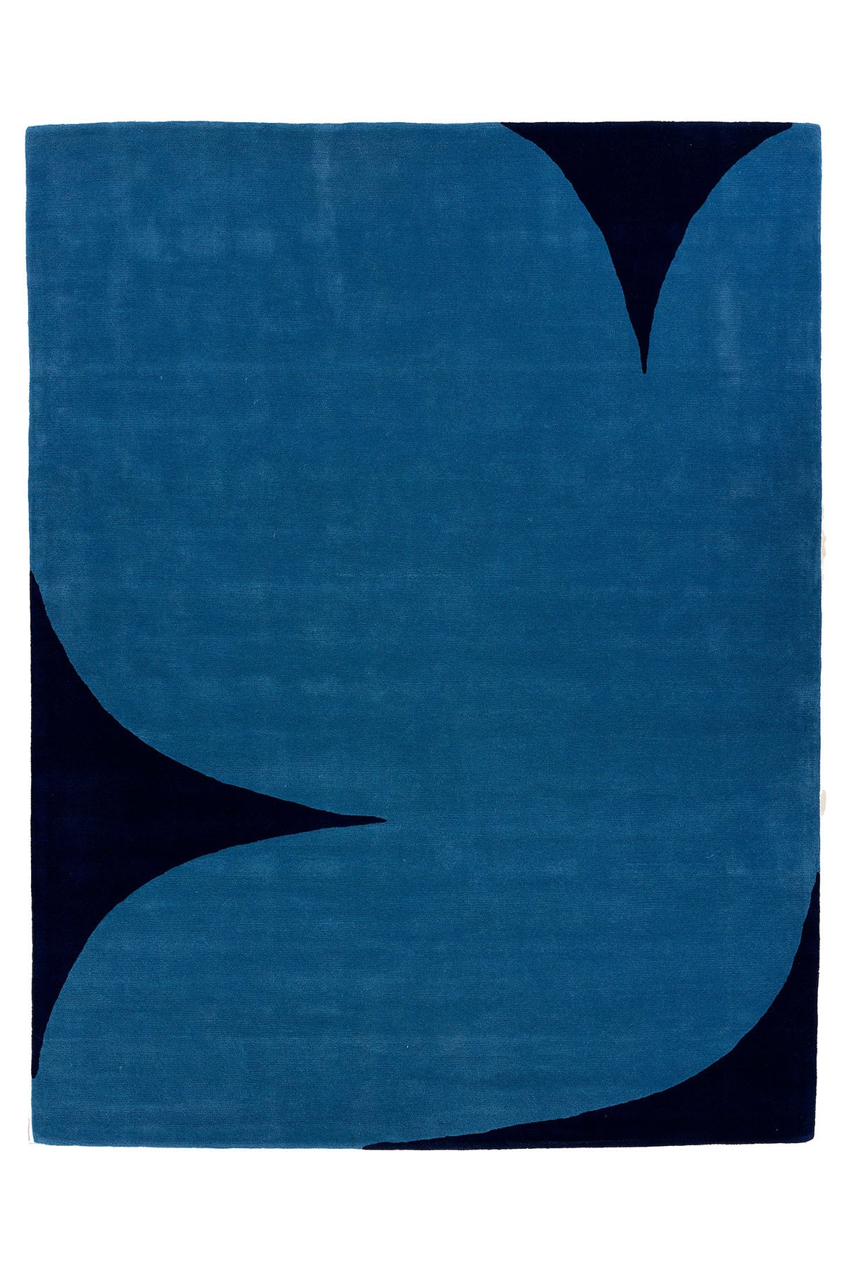 Dove Twilight