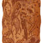 Eden Desert Sample Square