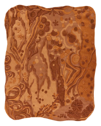 Eden Desert Sample Square