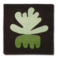 Sea Flower Seaweed