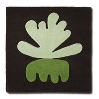Sea Flower Seaweed