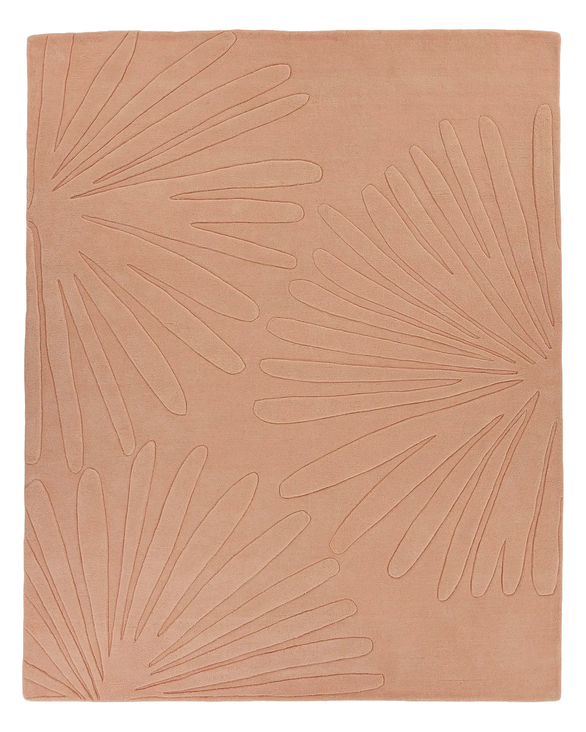 Daisies Petal Sample Square