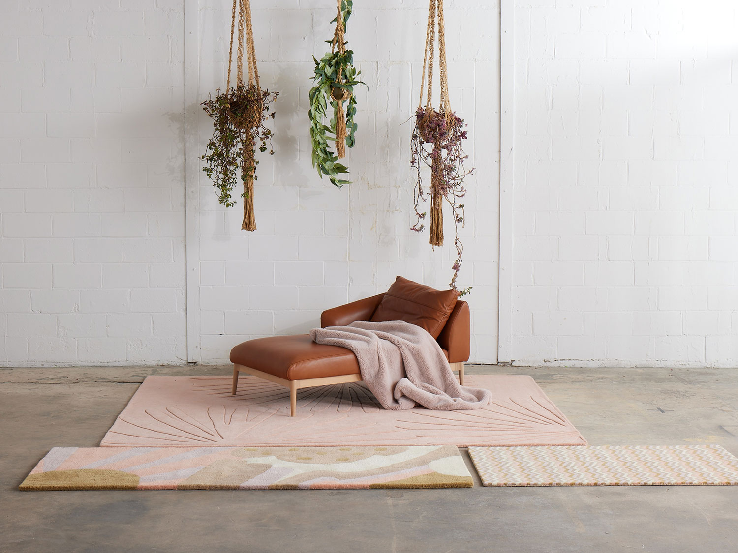 A large room of plants and a leather chair sitting on a modern area rug in pink called Daisies Petal
